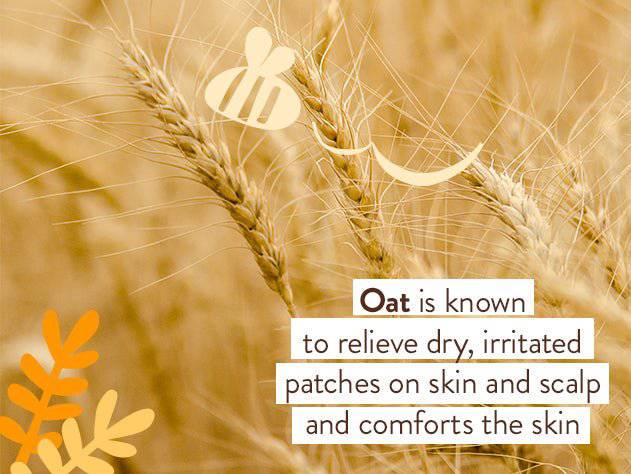 Moisturizing Oat & Calendula Bubble Bath & Wash Duo - Image 10