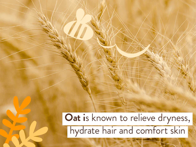 Moisturizing Oat & Calendula Shampoo & Wash Duo - 16 oz - Image 7