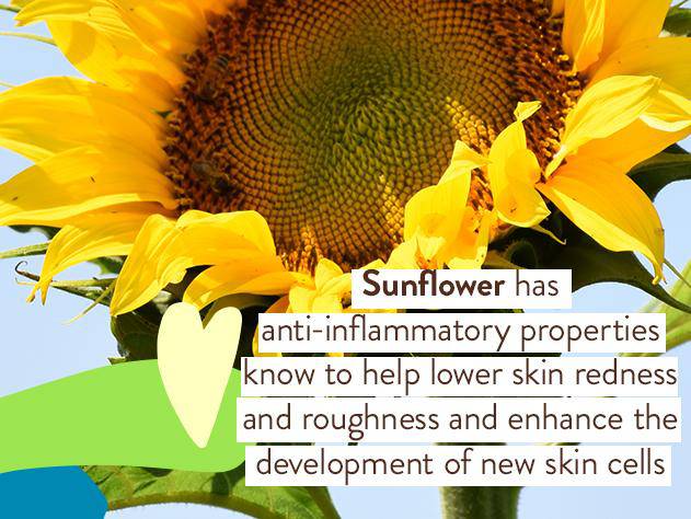 Sheer Zinc Mineral Sunscreen Spray SPF30 - Image 6