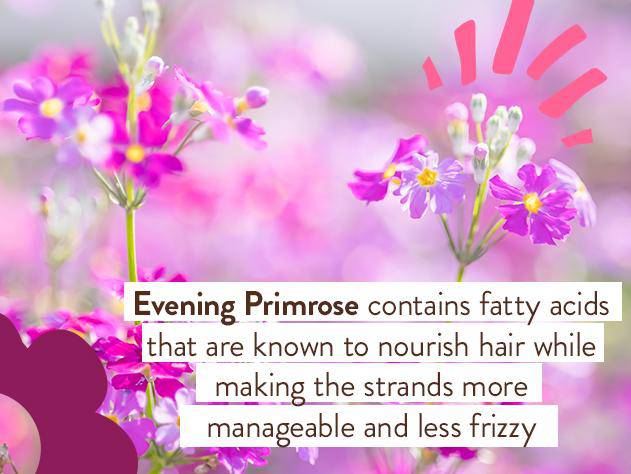Smoothing Berry & Primrose Shampoo & Wash - Image 5
