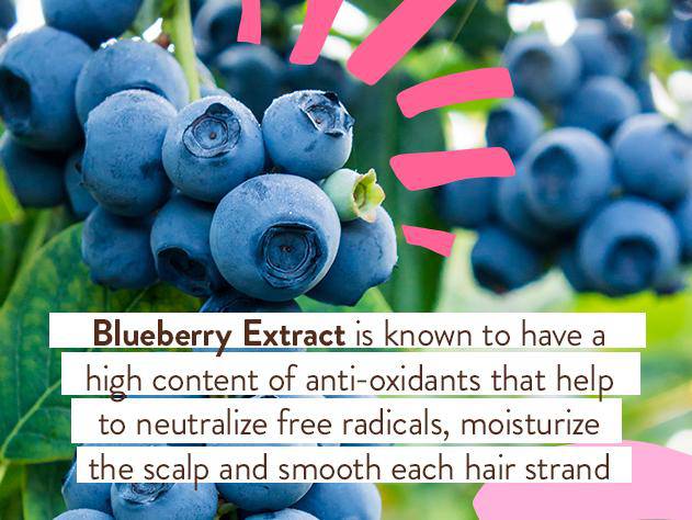 Smoothing Berry & Primrose Shampoo & Wash - Image 6